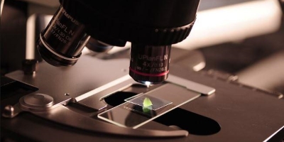 Tissue Culture Develepment